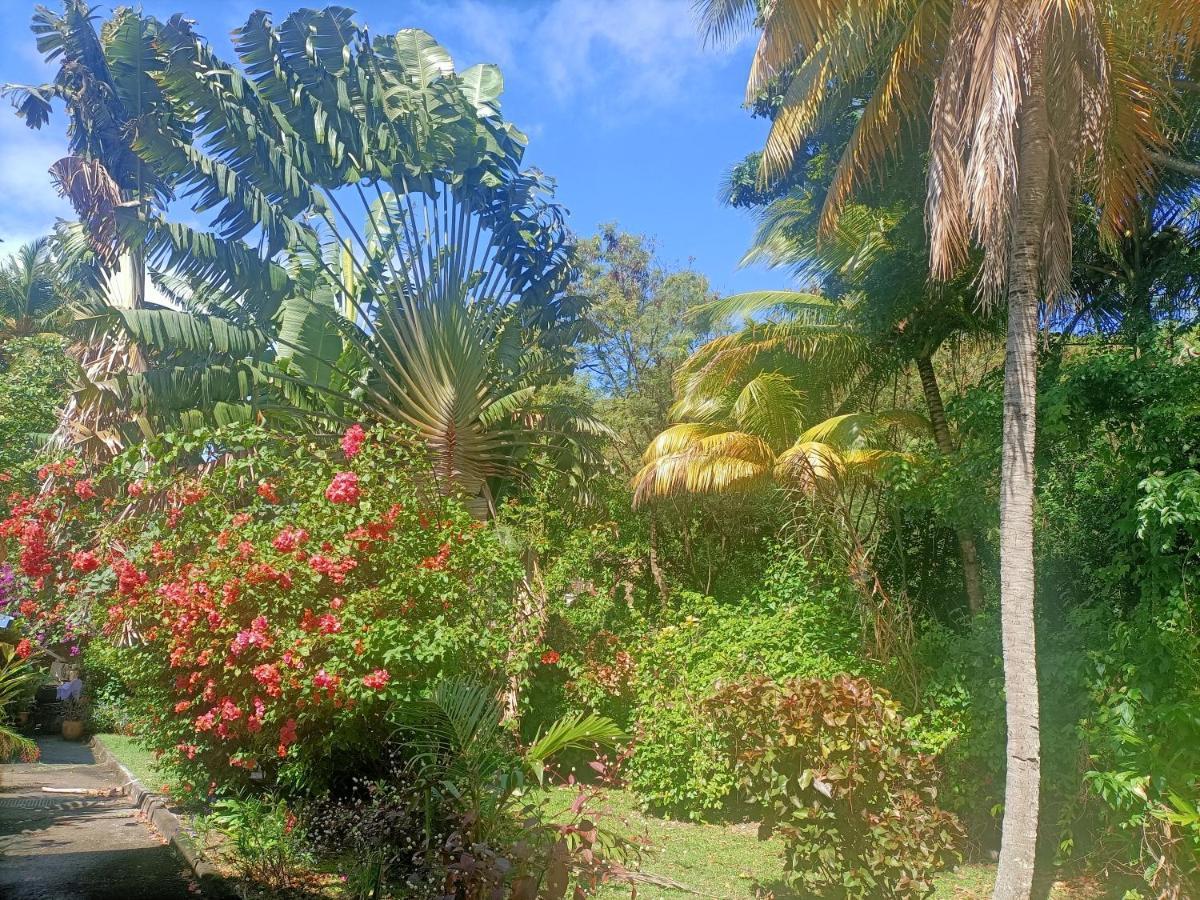 Le Colibri Ble Villa Sainte-Anne Exterior foto