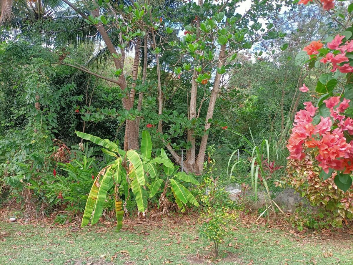 Le Colibri Ble Villa Sainte-Anne Exterior foto