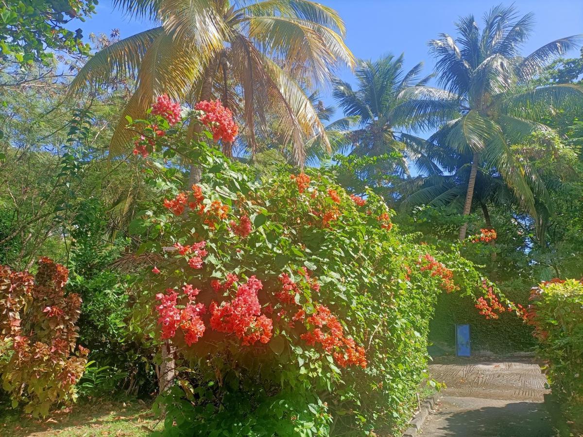 Le Colibri Ble Villa Sainte-Anne Exterior foto