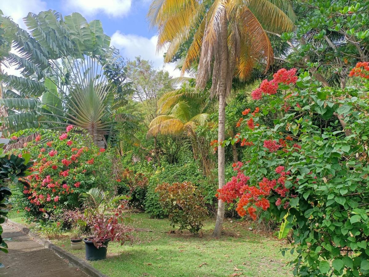 Le Colibri Ble Villa Sainte-Anne Exterior foto